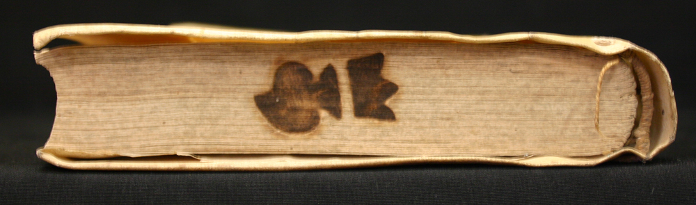 65498 canto.jpg